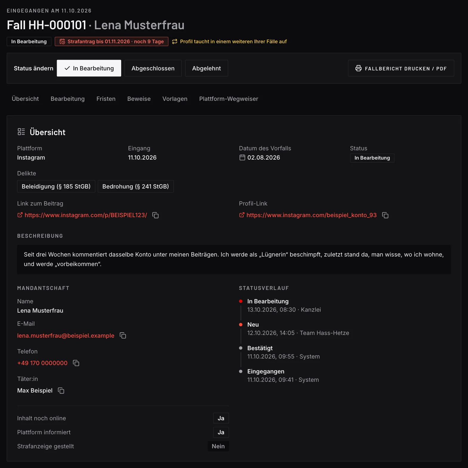 Screenshot eines Falldetails mit Demodaten: oben Fallnummer und Status, darunter die gemeldeten Delikte, Plattform und Link zum Inhalt, die Schilderung der betroffenen Person, der Eingangszeitpunkt und der bisherige Statusverlauf.